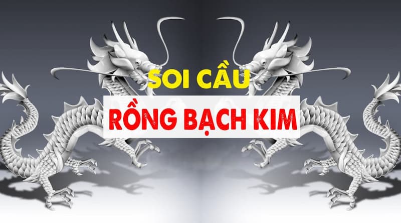 Rong Bach Kim