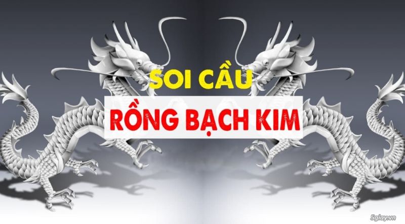 rồng bạch kim chính xác 100%